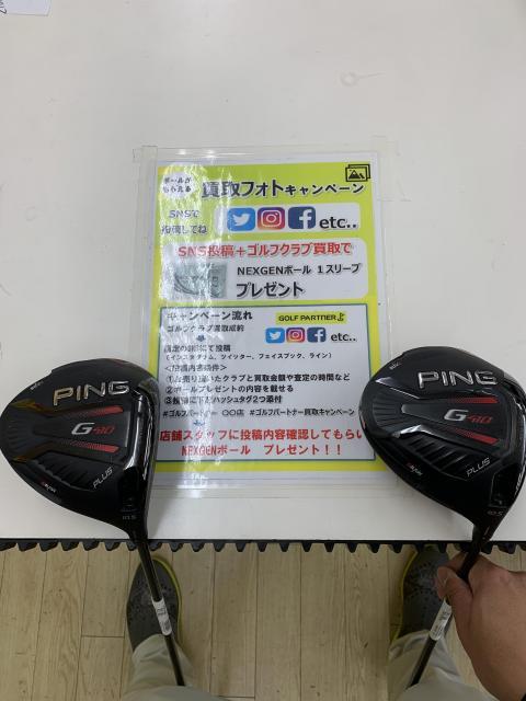 ぴん！ピン！！PING！！！｜R407太田店｜ゴルフのことなら東京大阪など